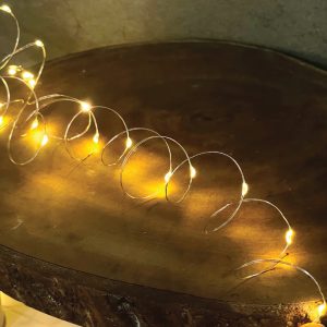 LED Light